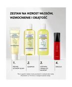 Cool Orange Shampoo – Bezsiarczynowy szampon do przetłuszczającej się skóry głowy skłonnej do łupieżu