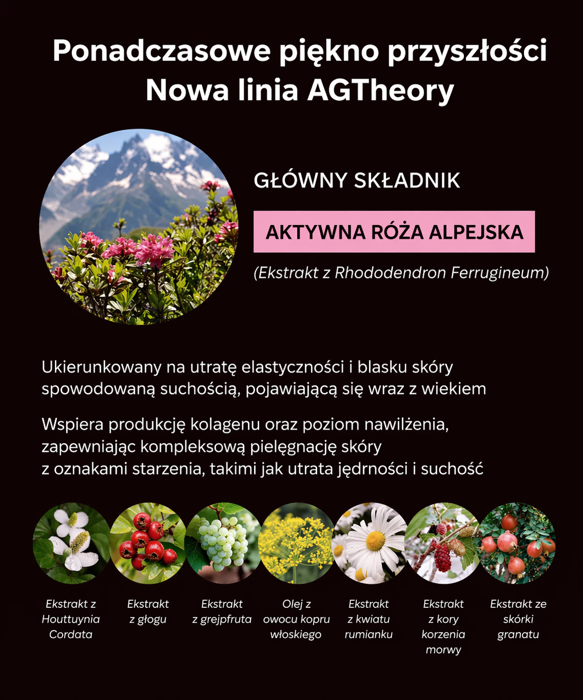 AGTheory Advanced Renewal Ritual*