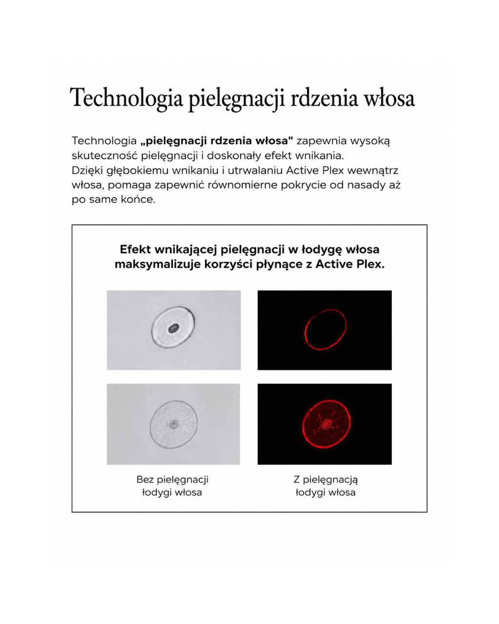 Hita Treatment – innowacyjna maska regenerująca do suchych, łamliwych i farbowanych włosów*