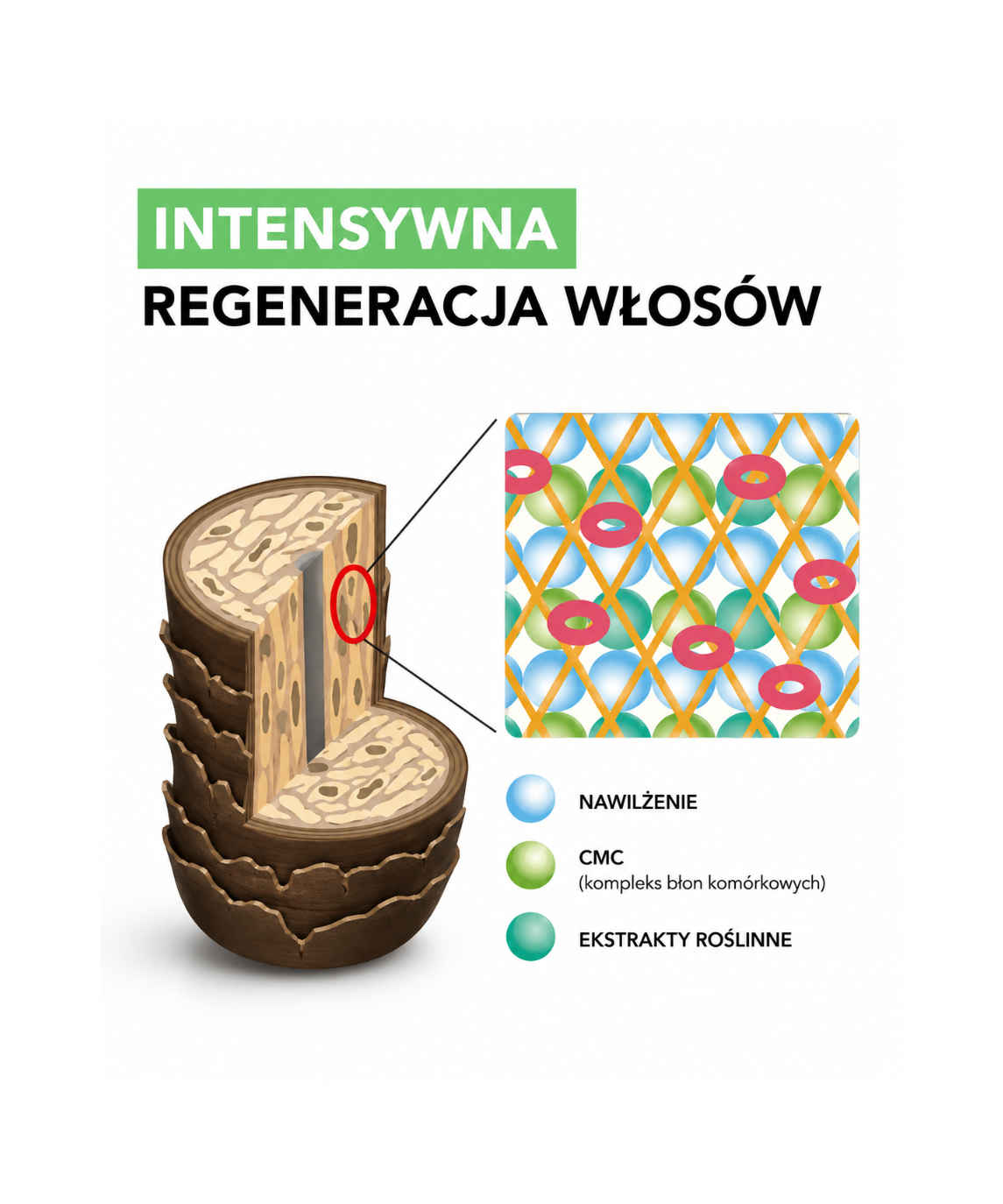 Hair growth & super-volume set - Zestaw do objętości i oczyszczania włosów*