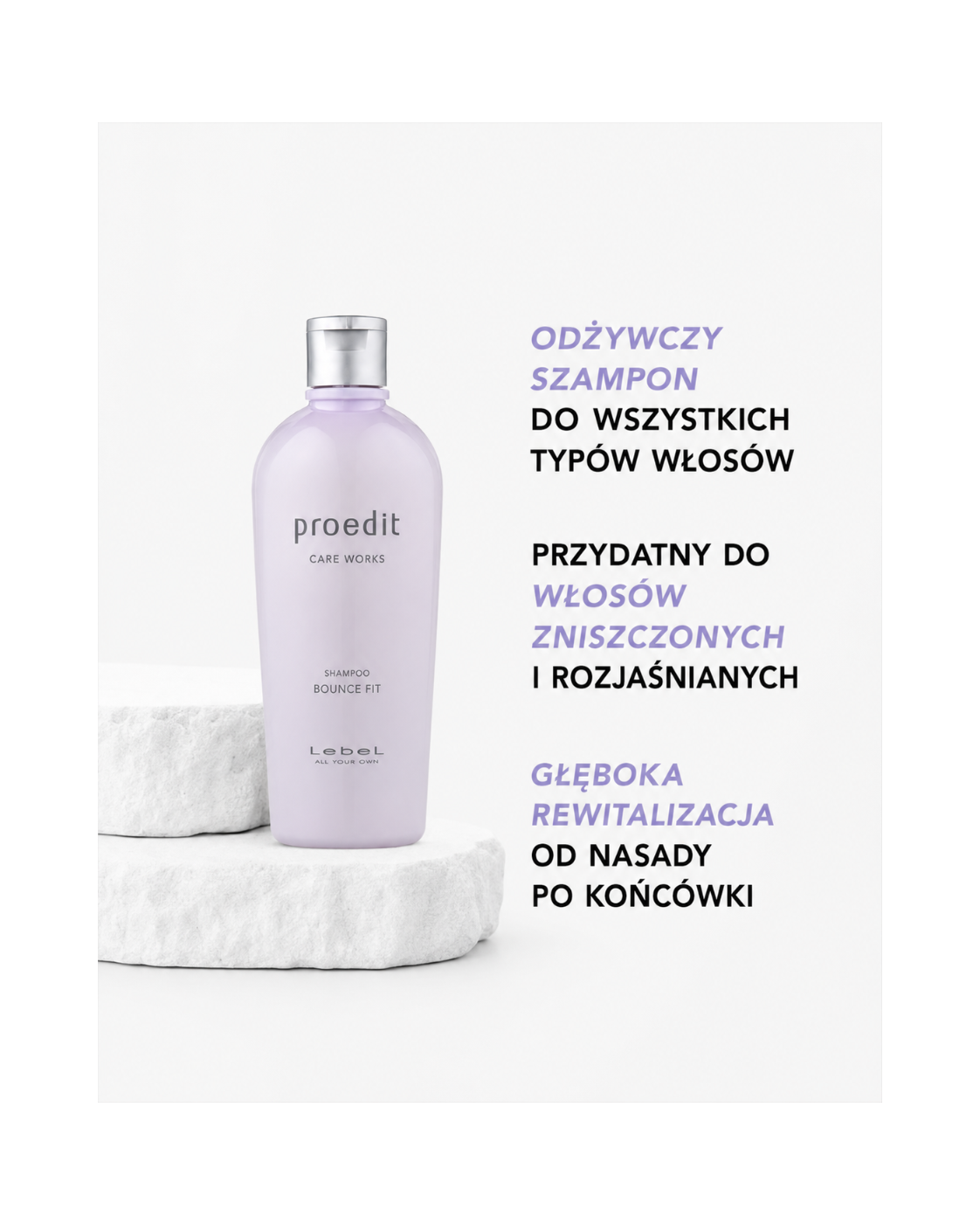 Lebel Recovery for hard hair set - Zestaw do intensywnej regeneracji włosów*