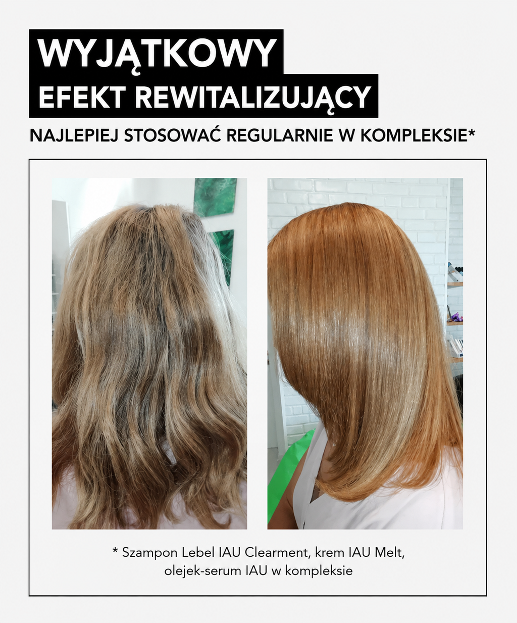 Lebel IAU Cleansing Clearment shampoo*